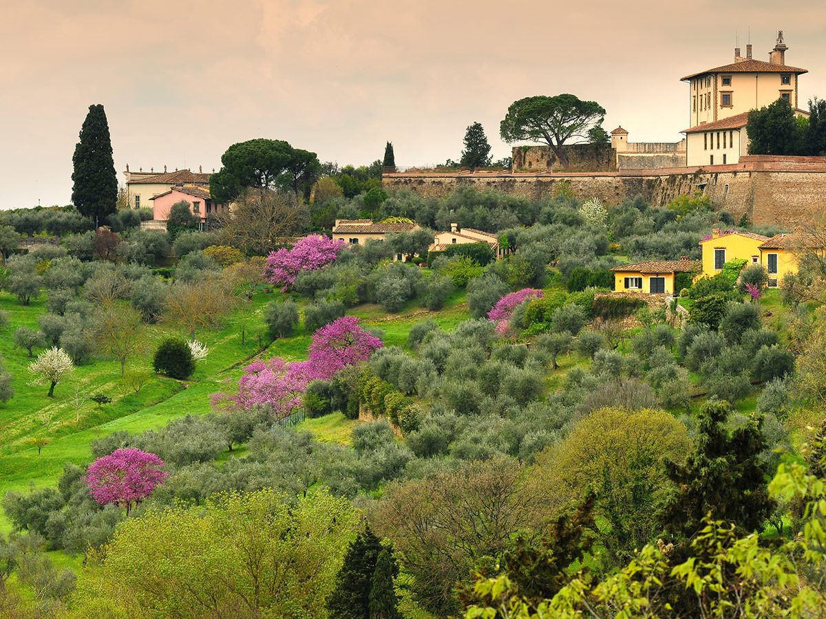 Oltrarno Veduta Forte Belvedere